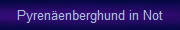 Pyrenenberghund in Not