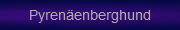 Pyrenenberghund