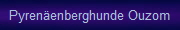 Pyrenenberghunde Ouzom
