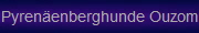 Pyrenenberghunde Ouzom