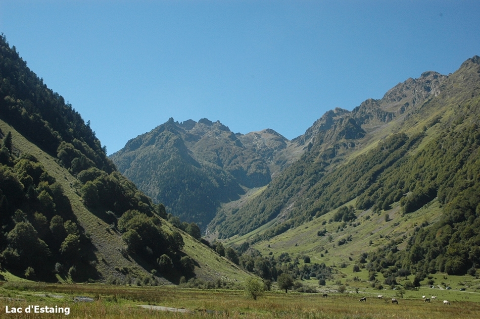 DSC_0102 (1)