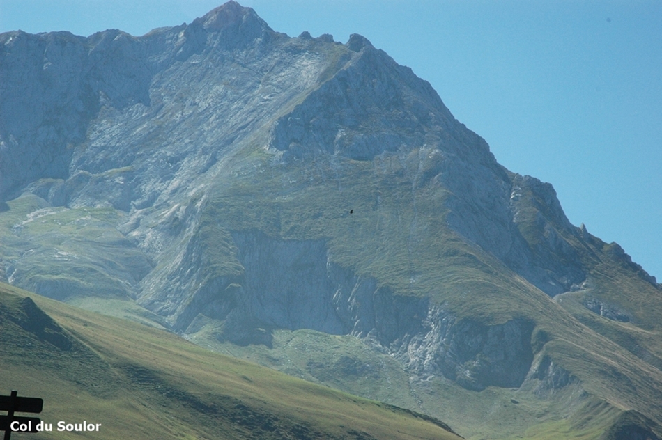 DSC_0125 (1)