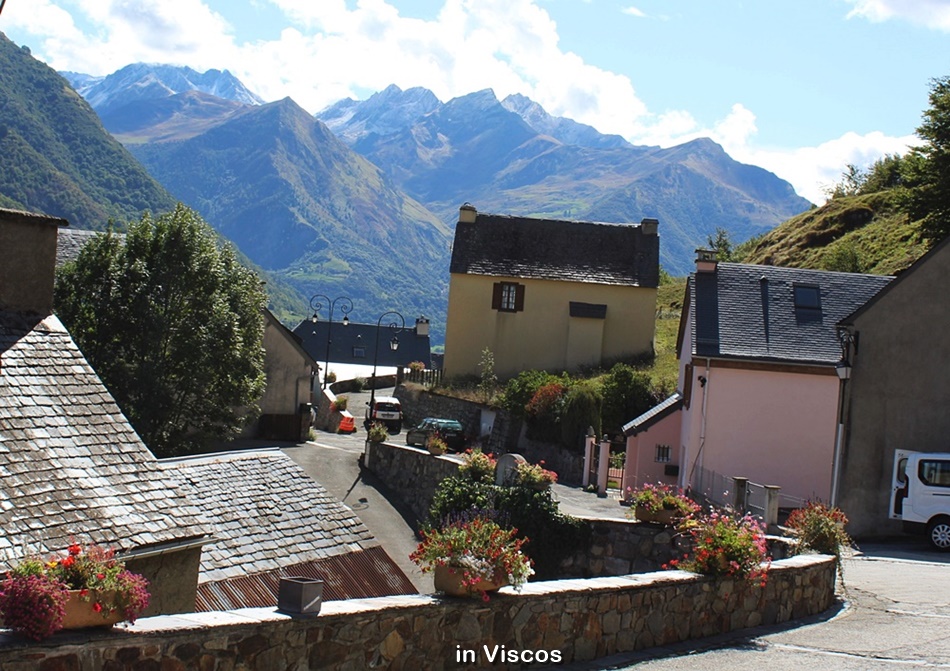 vis3IMG_5728-crop